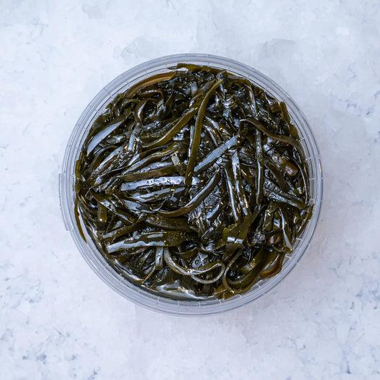 Mořská řasa (kelp)