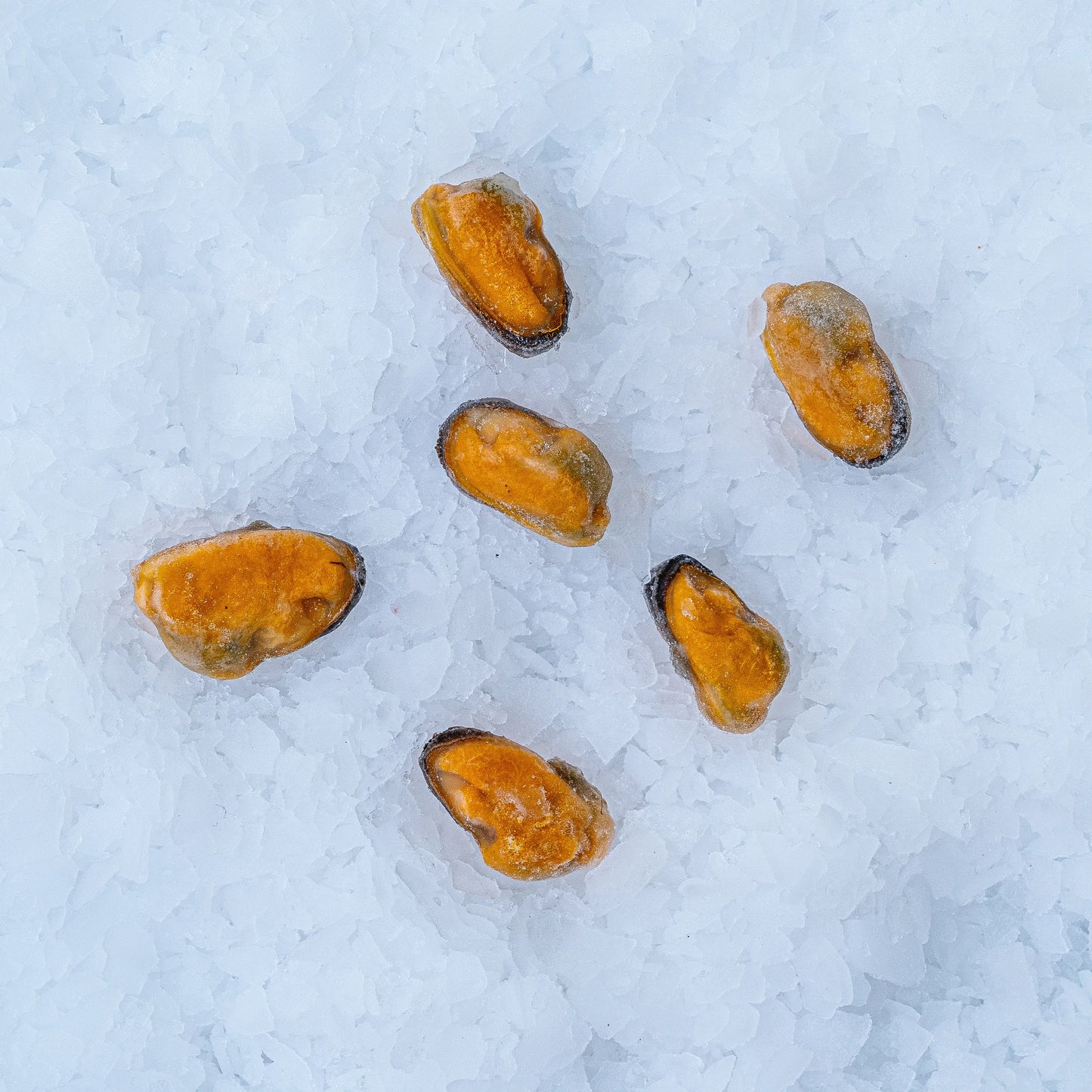 Slávky, vařené, mražené