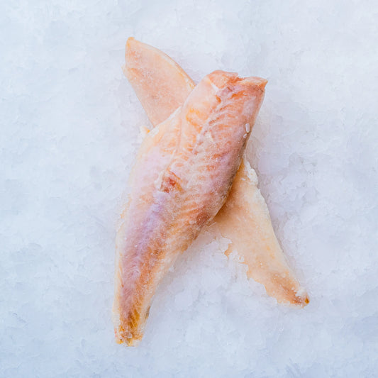 Okouník mořský filet