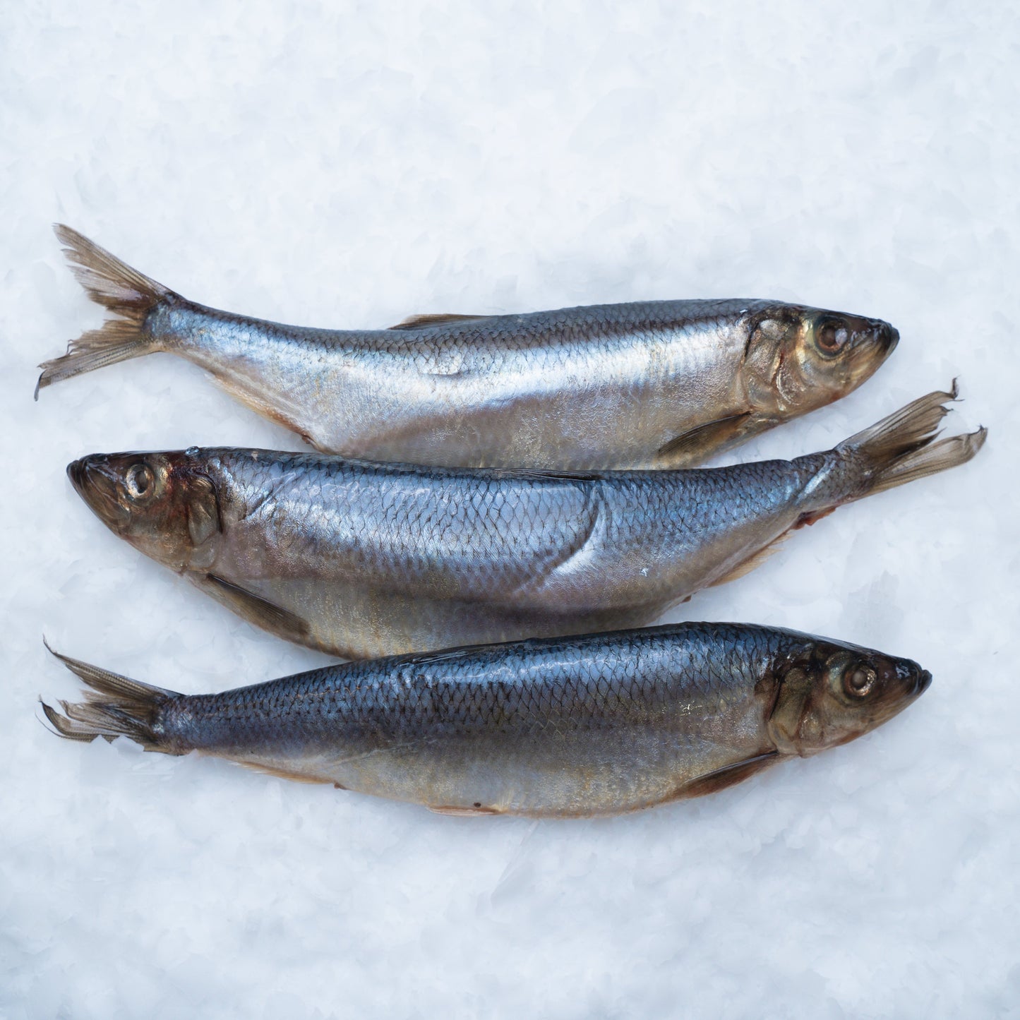 Celý sleď jemně solený