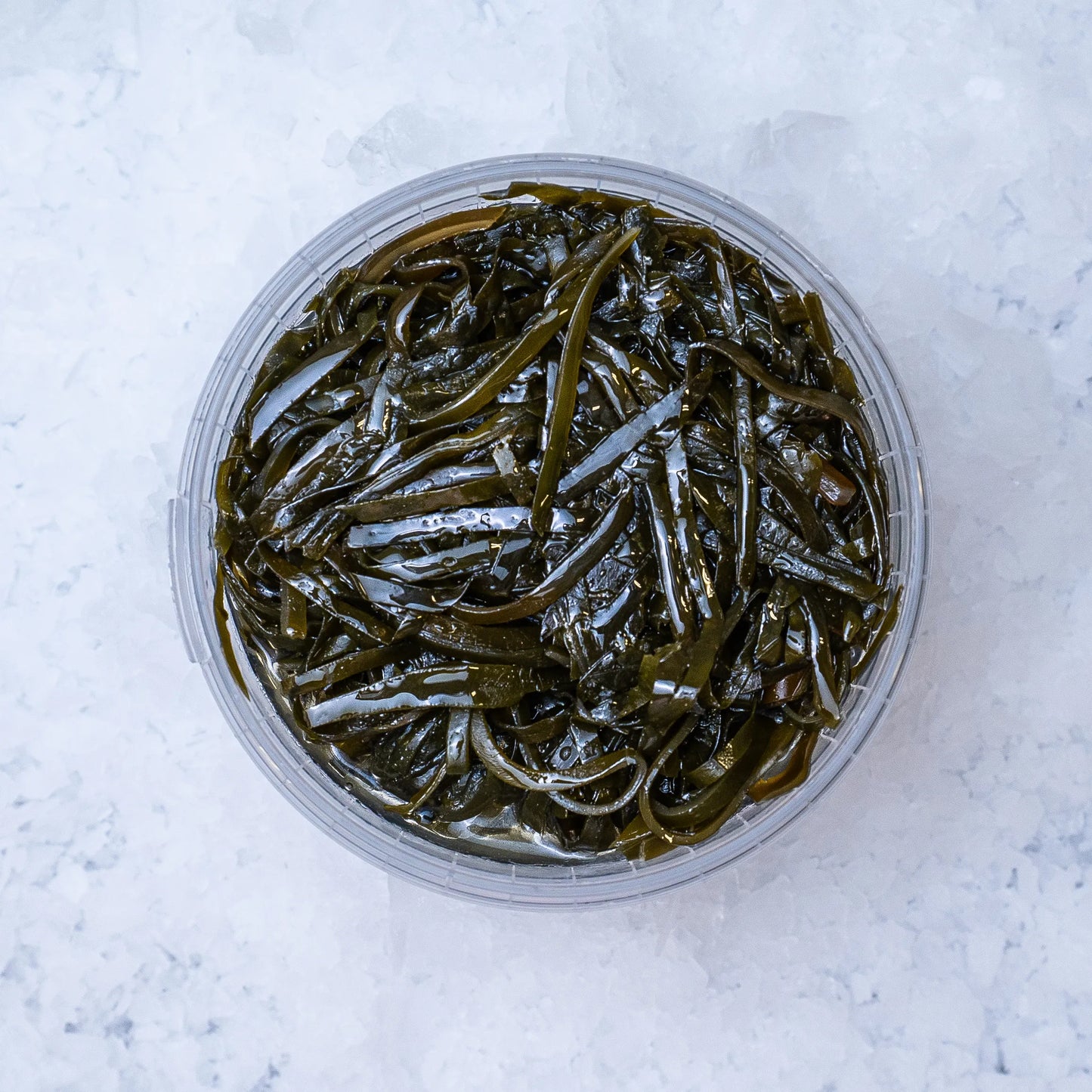 Mořská řasa (kelp)