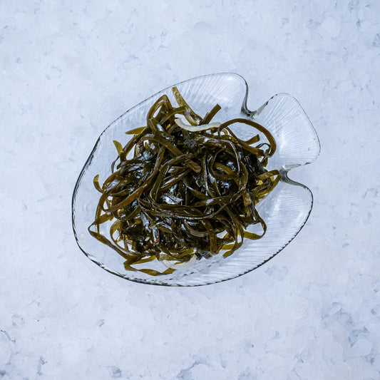 Mořská řasa (kelp)