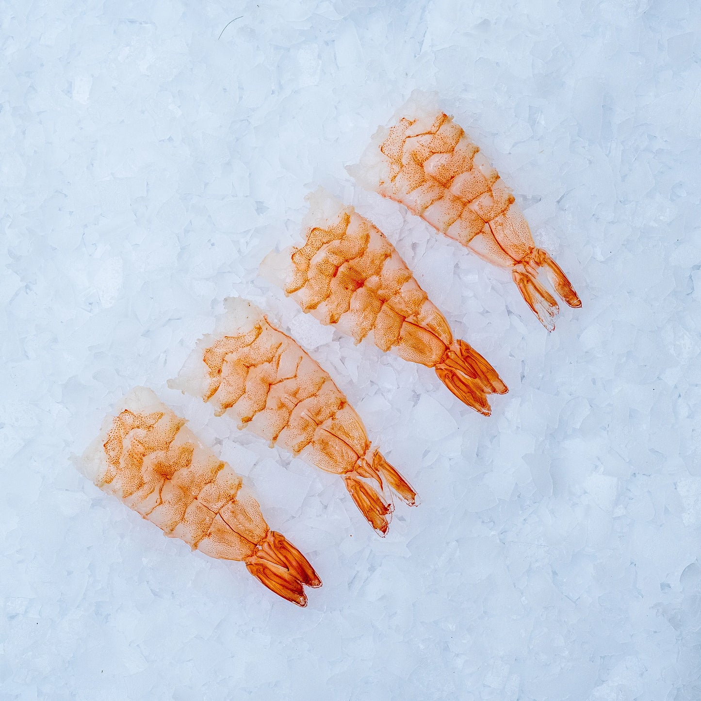 Krevety vannamei na sushi