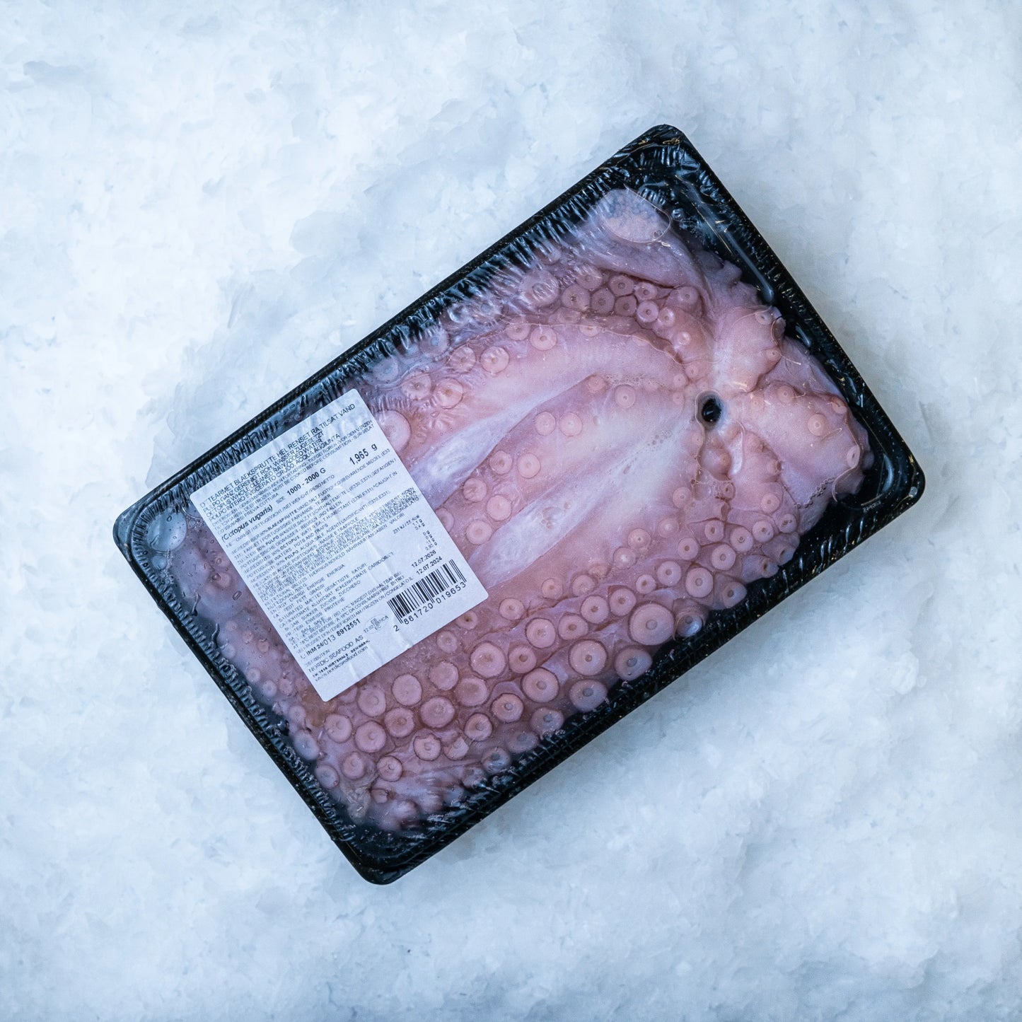 Octopus