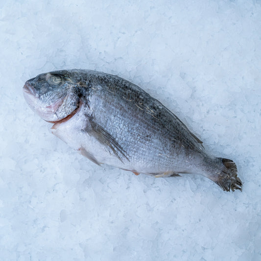 Dorada, celá