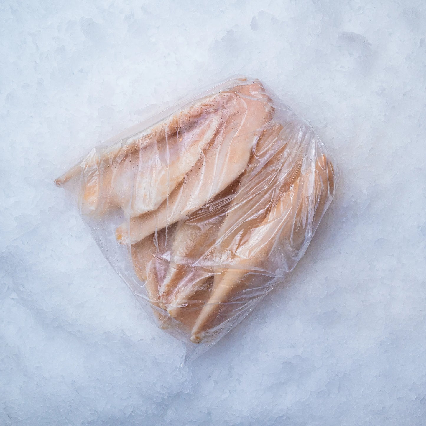 Okouník mořský filet
