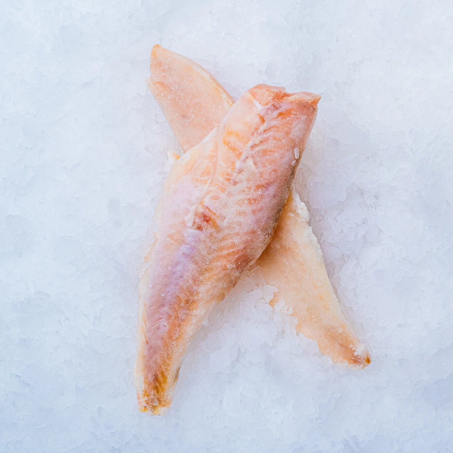 Okouník mořský filet