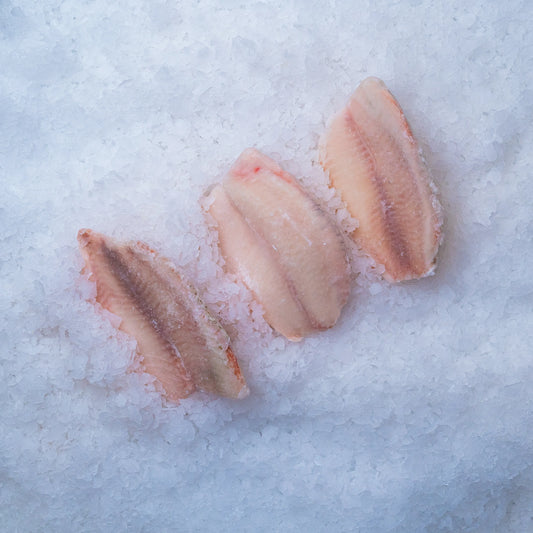 Tilapia Fillet
