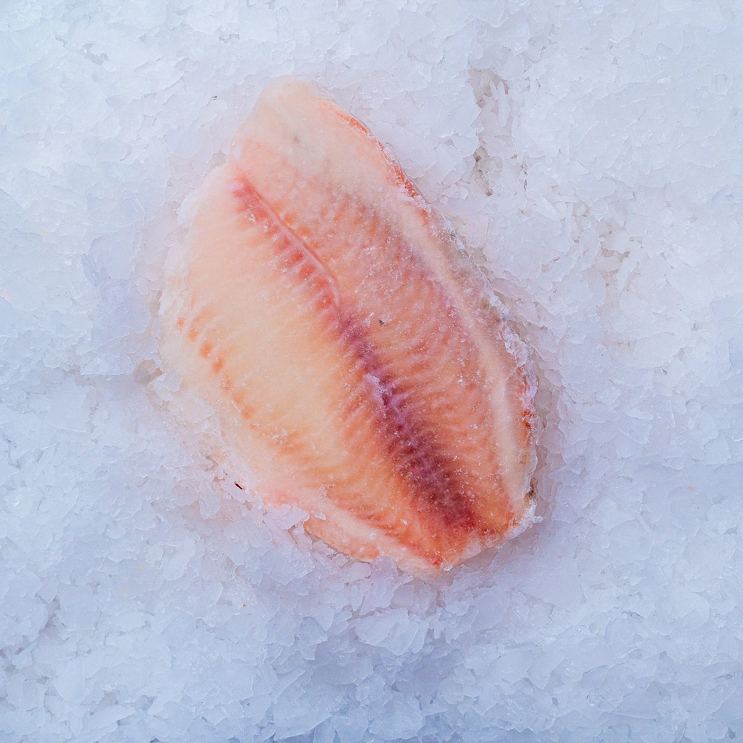 Tilapia Fillet